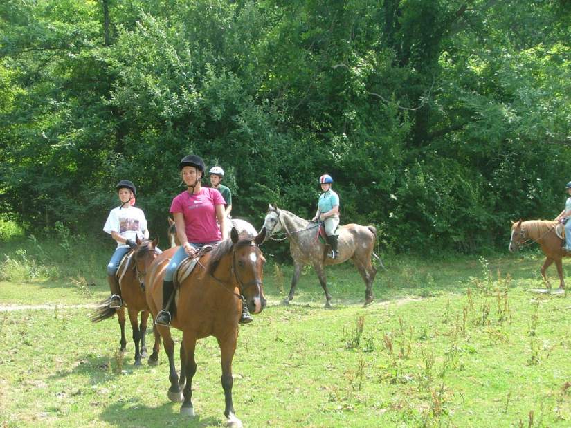 PTRLIVRTZANESFIELDTRAILRIDES122114