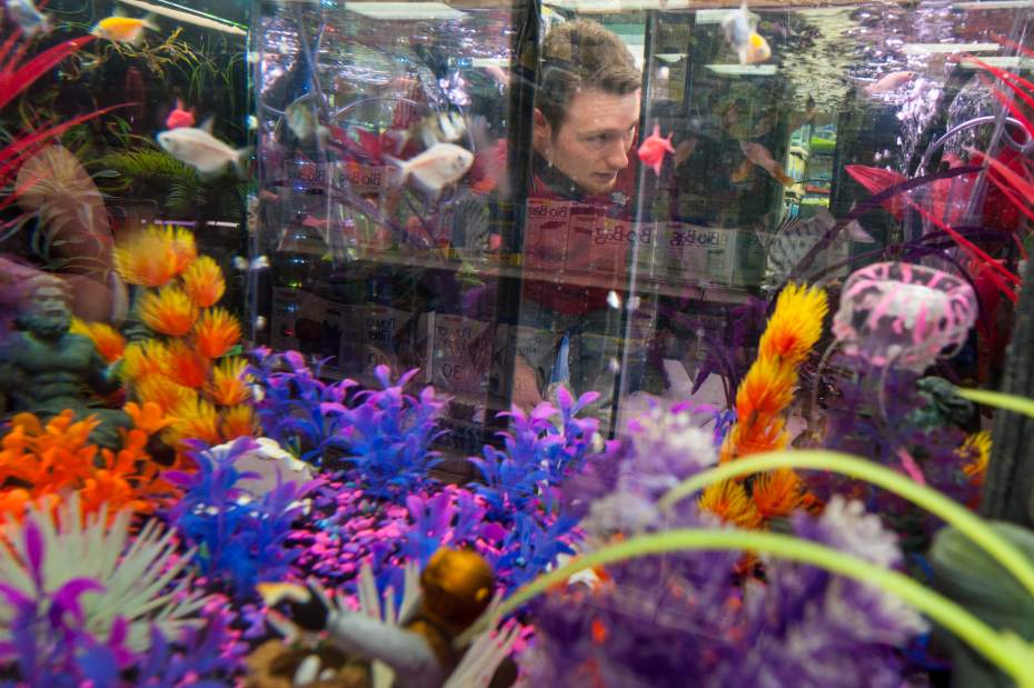 Slide 
													
													4