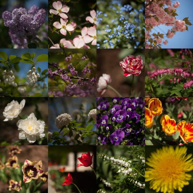 Slide 
													
													14