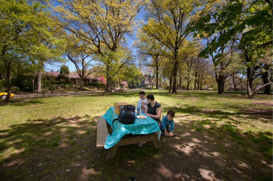 Slide 
													
													12