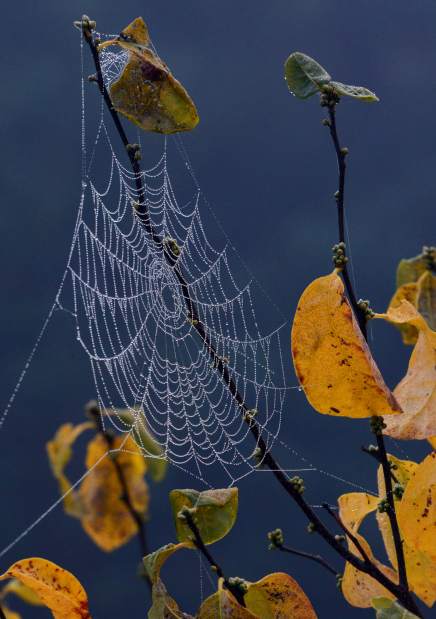 Slide 
													
													6