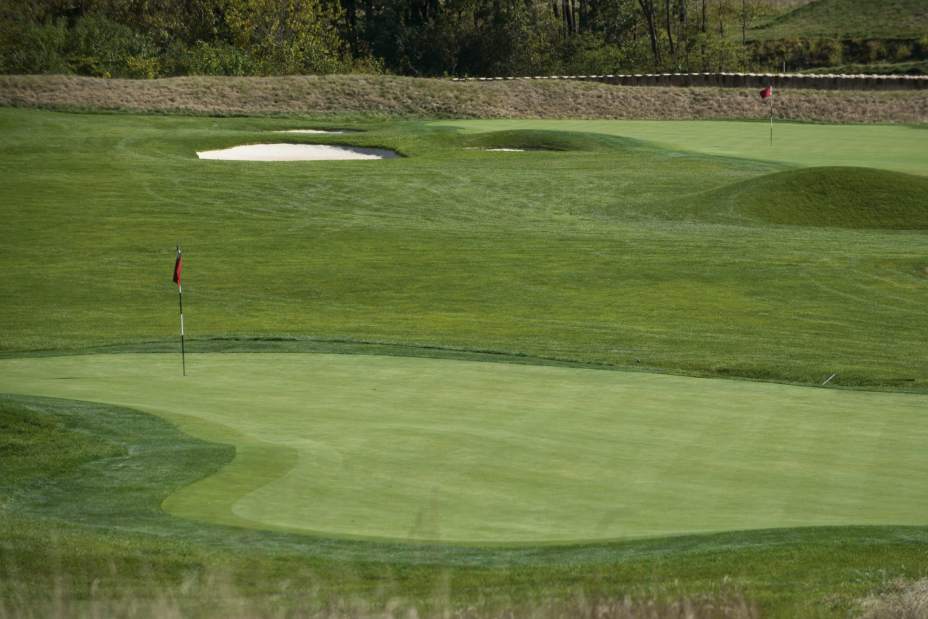 PTROPENOAKMONT66061116