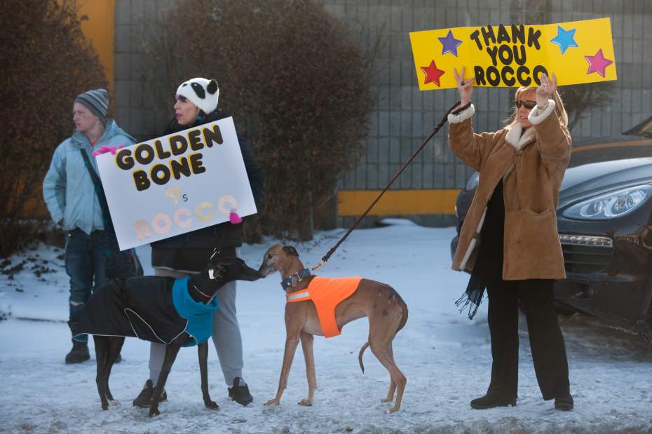 PTRROCCO24020814 PTRROCCO24020814