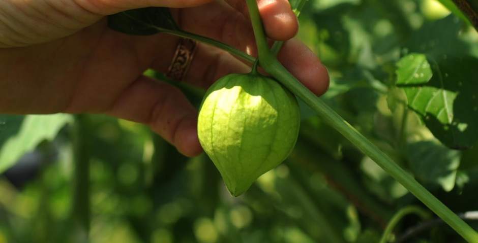 Slide 
													
													8