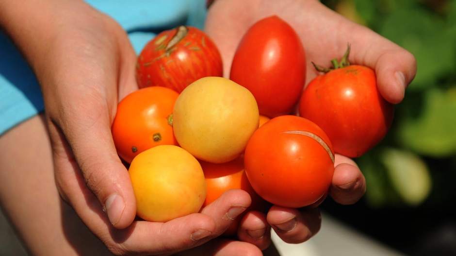 Slide 
													
													3