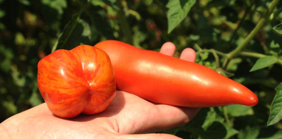 Slide 
													
													9