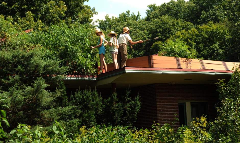 Slide 
													
													10