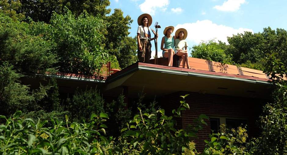 Slide 
													
													11