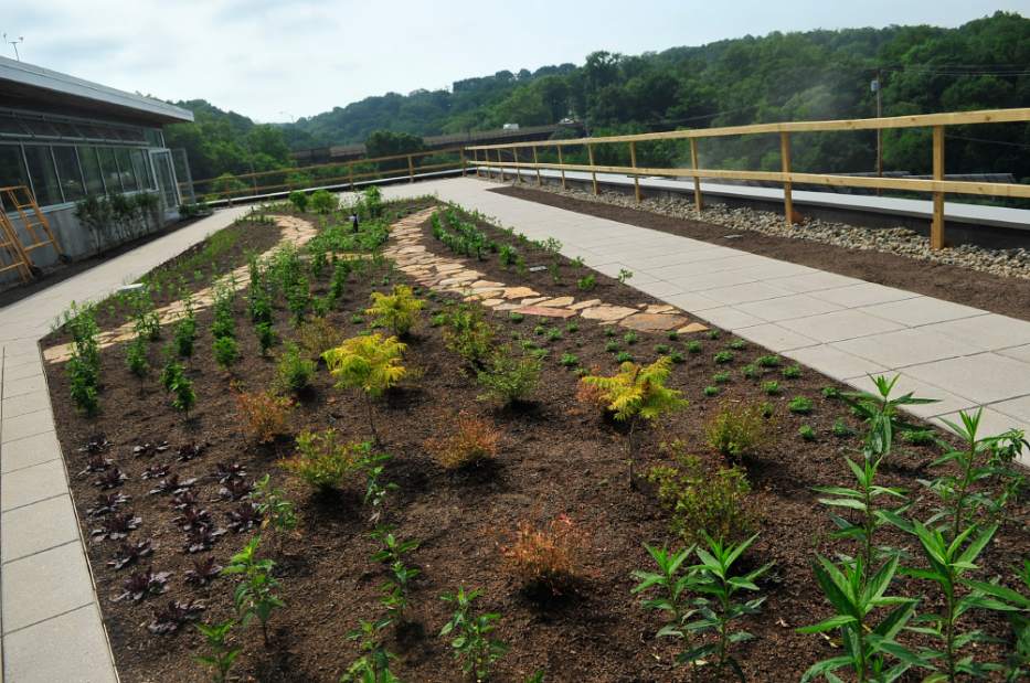 PTRSUSTAINABLE3052412