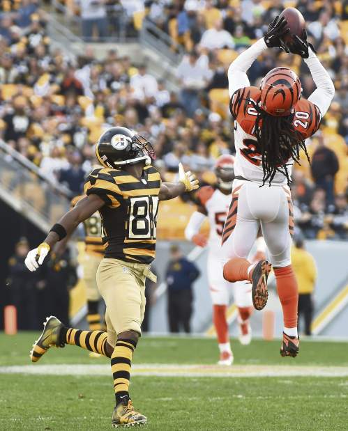 PTRSteelers24110215