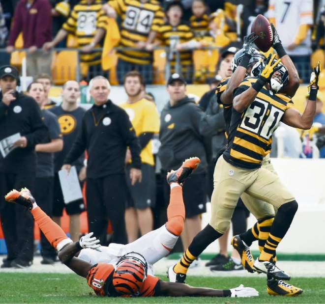 PTRSteelers26110215