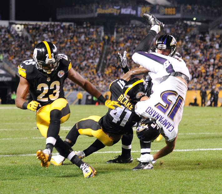 PTRSteelers44100215