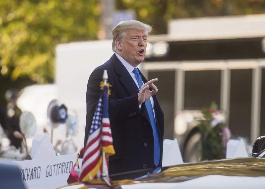 PTRTrumpTreeOfLife25103118