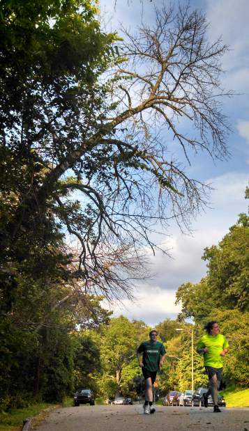 PTRashborers01081613