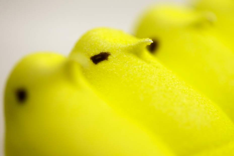 PeepsPortraitJPEG09085
