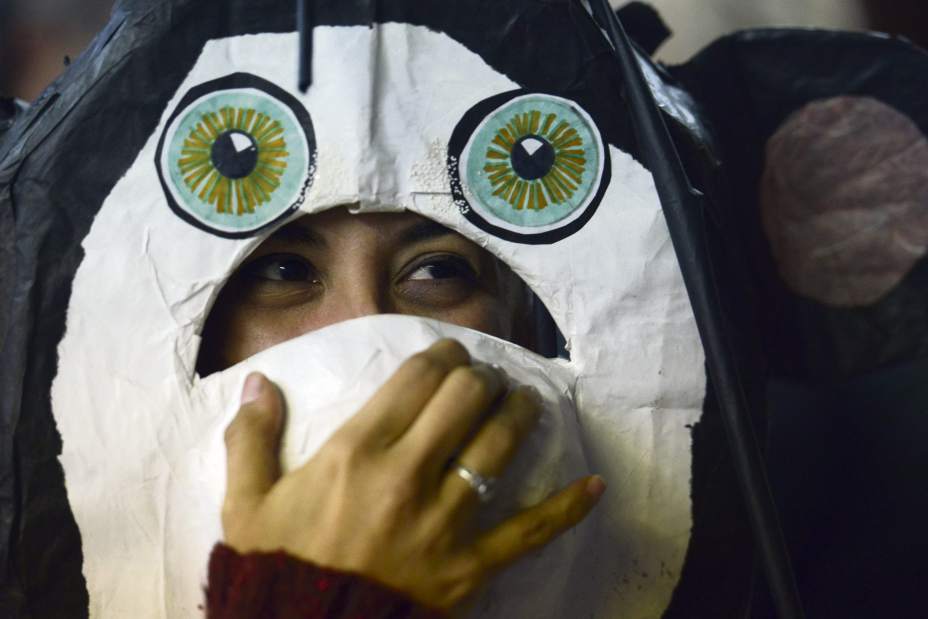 Ptrbraddocklibrary02020116