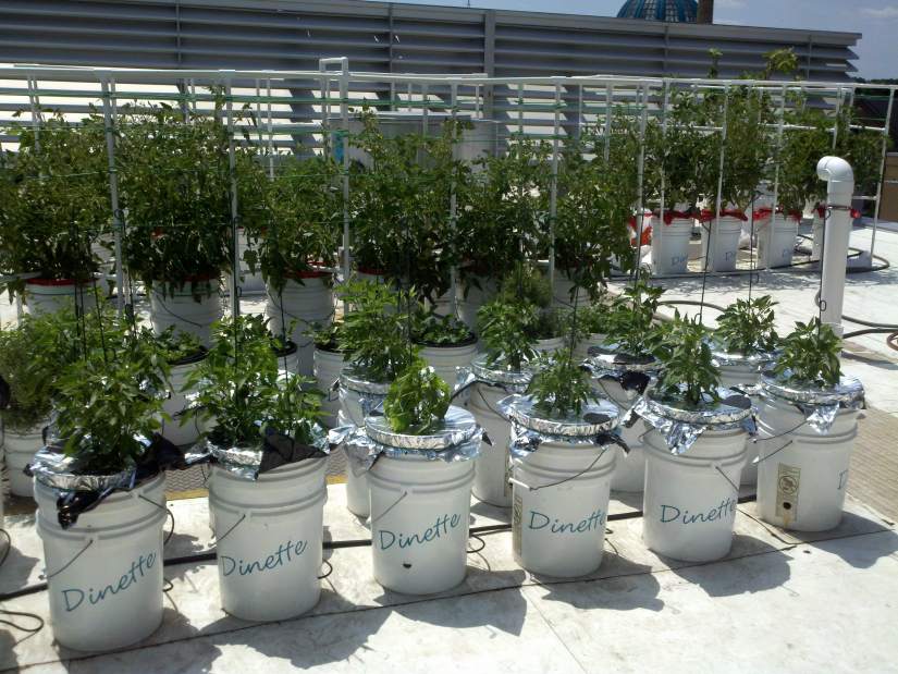 Slide 
													
													2