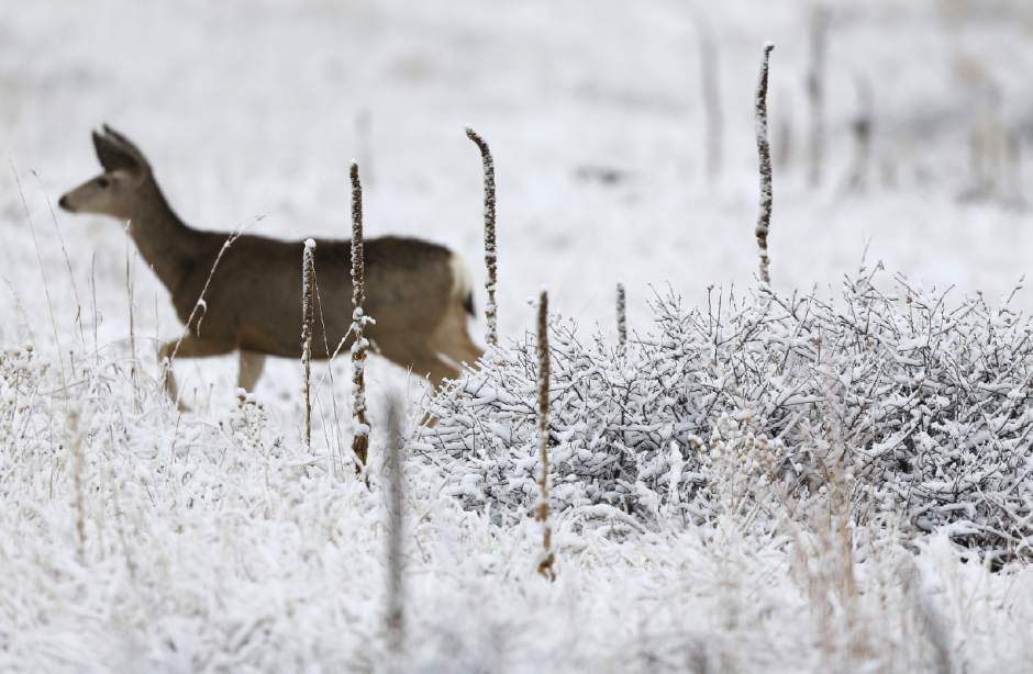 SevereWeatherColoradoJPEG0c79a