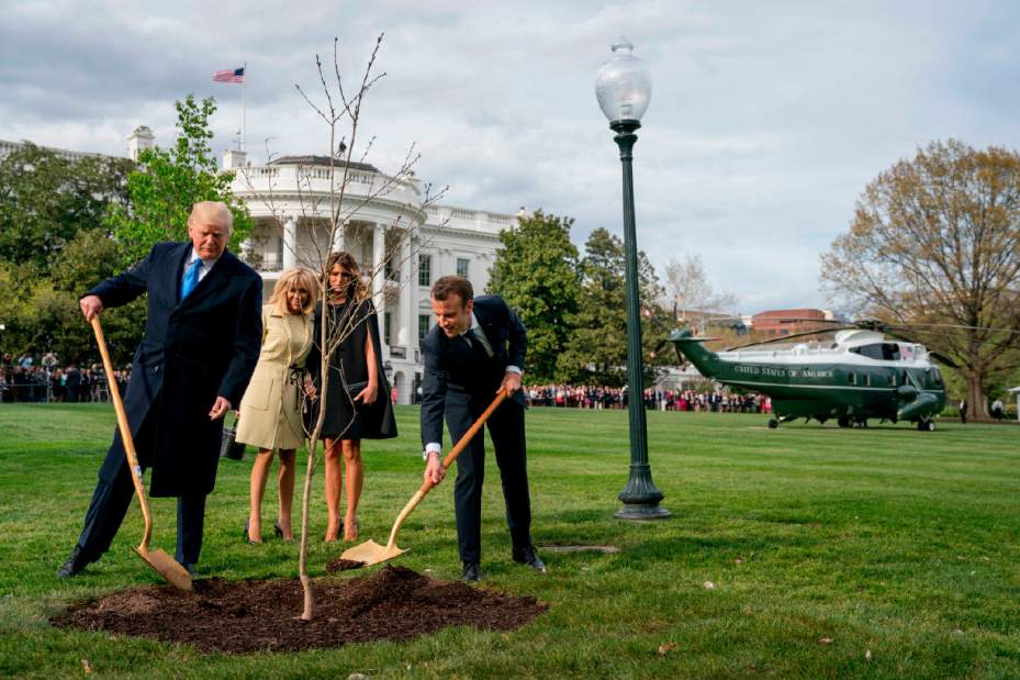TrumpMacronTree59180jpg7843a