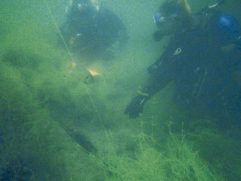 VNDDiveTeam3062418