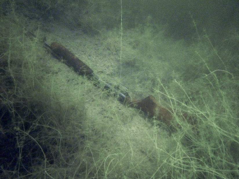 VNDDiveTeam4062418