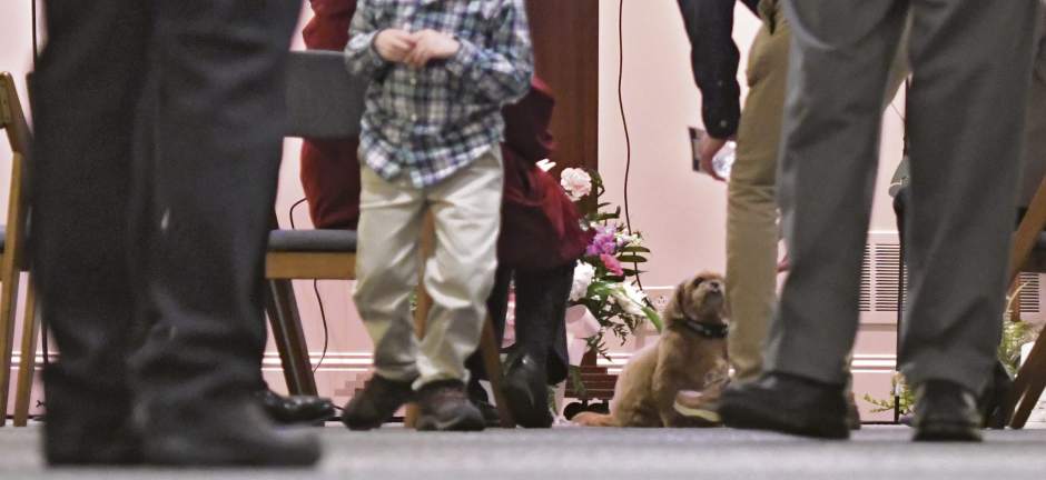 VNDFuneraldog5020517