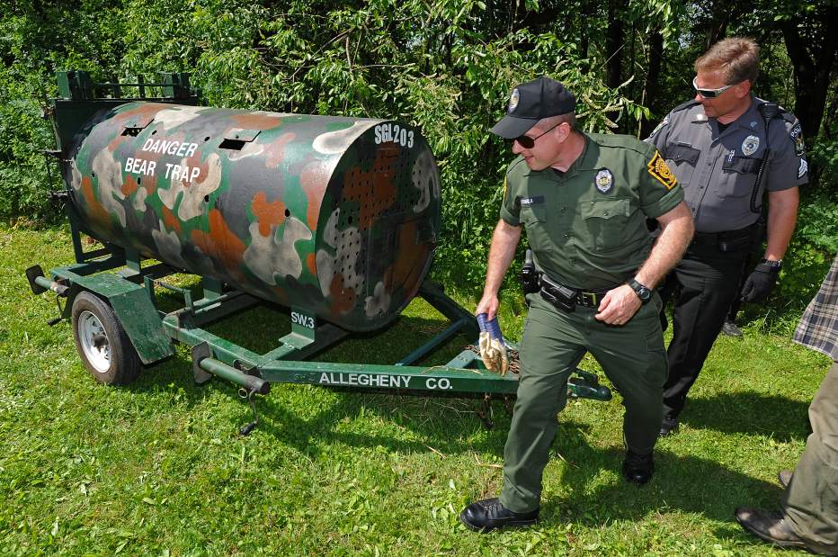 VNDWESTDEERBEAR20517