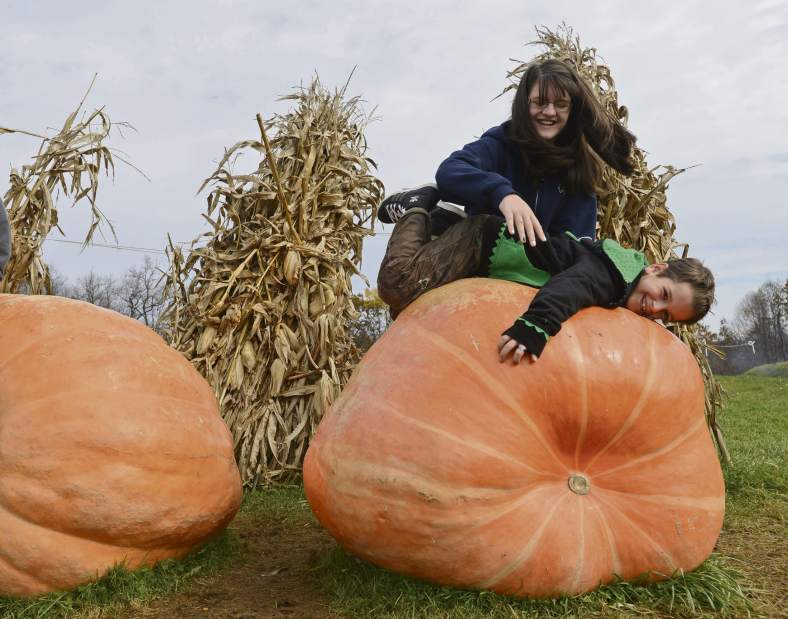 VNDloPumpkinFest2110115