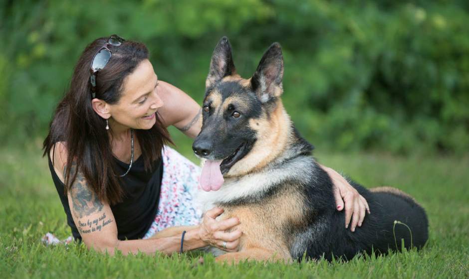 WestminsterDogShow90651jpg93203