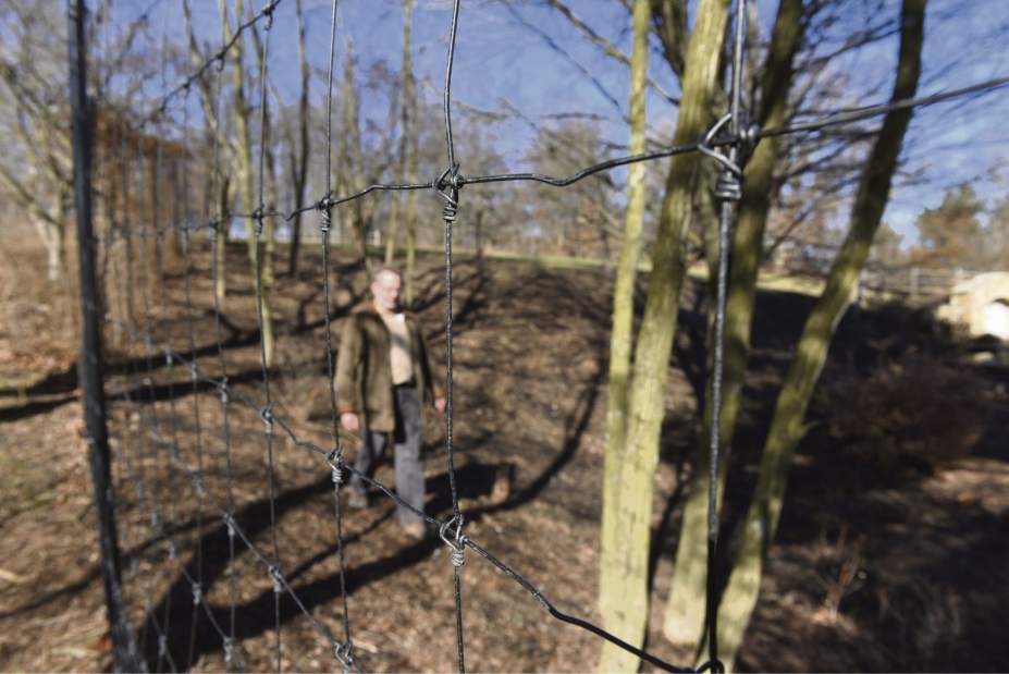 gtrLIV535deergarden2020918