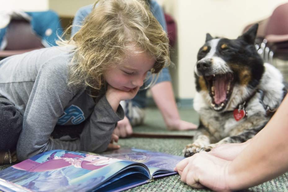 gtrLIVdogreaders02031817