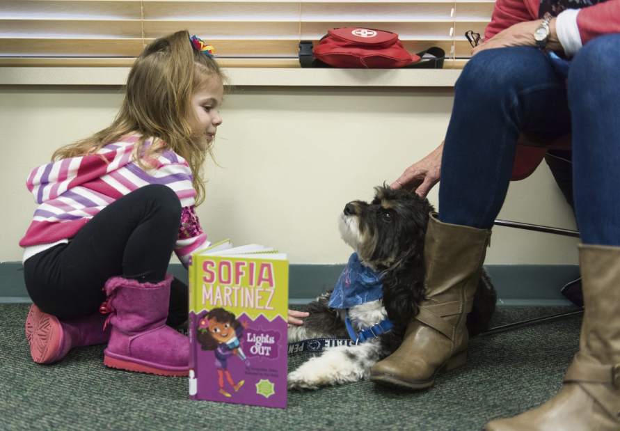 gtrLIVdogreaders03031817