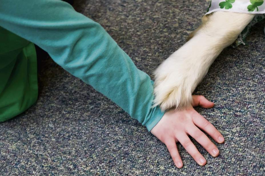 gtrLIVdogreaders03181703