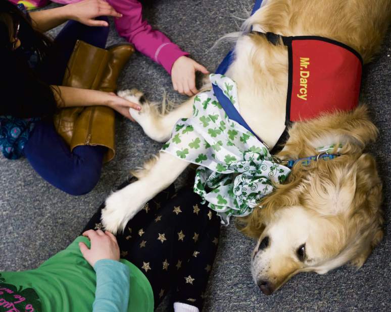 gtrLIVdogreaders03181704