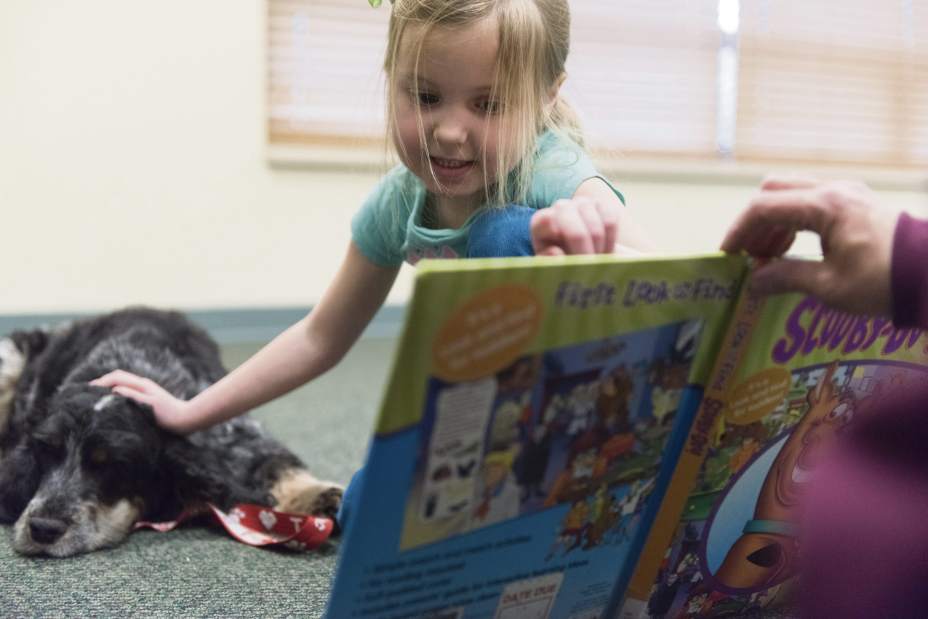 gtrLIVdogreaders04031817