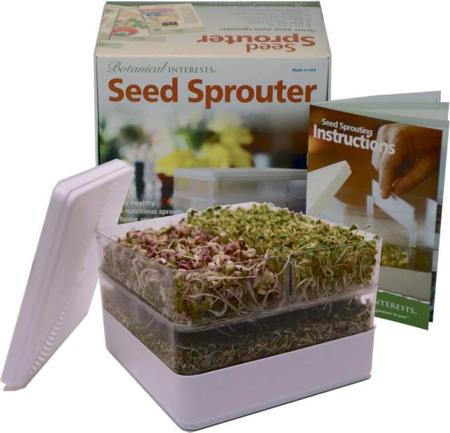 gtrLIVsprouting8020317