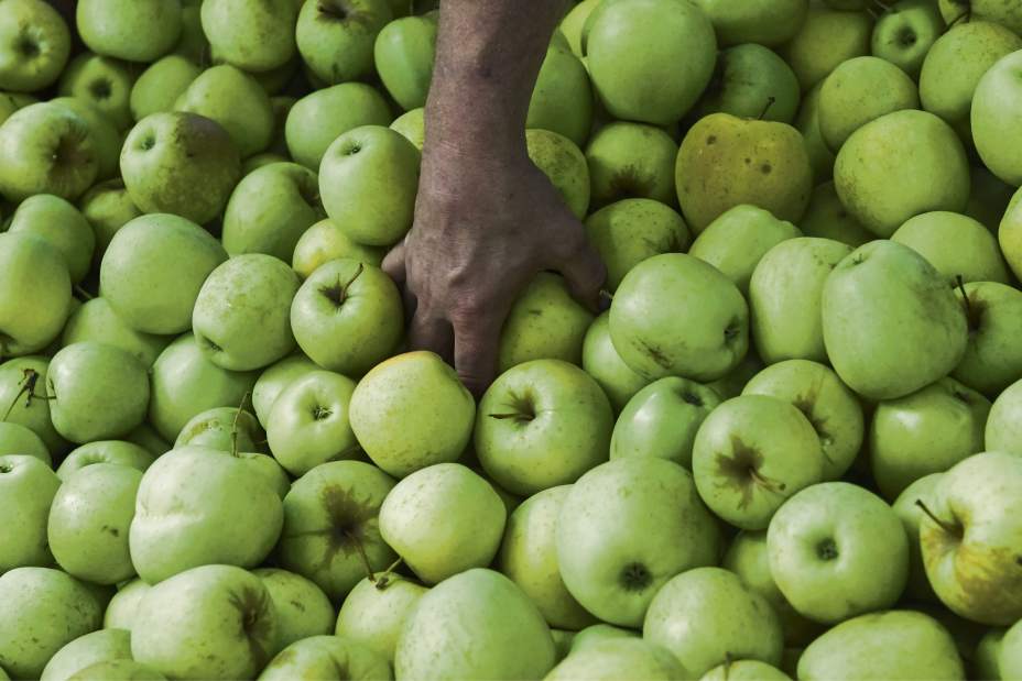 gtrLOapplefest10081704