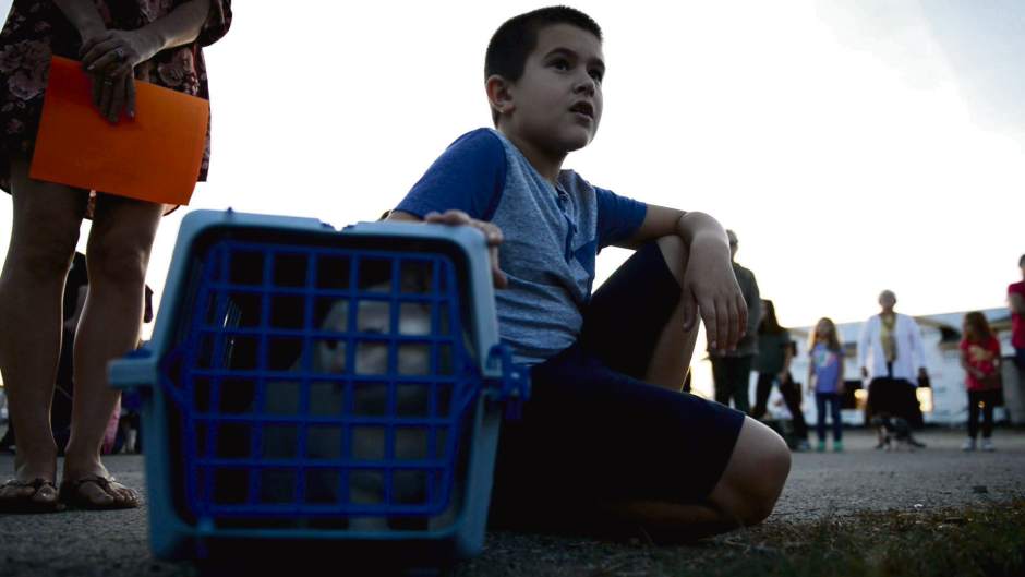 gtrLOpetbless2100217