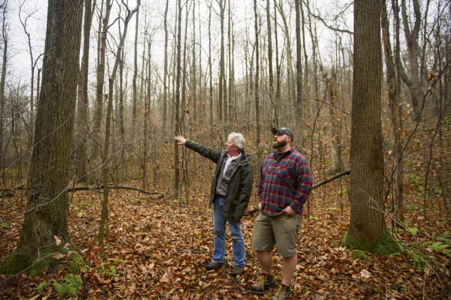 Slide 
													
													15