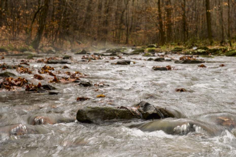 Slide 
													
													13