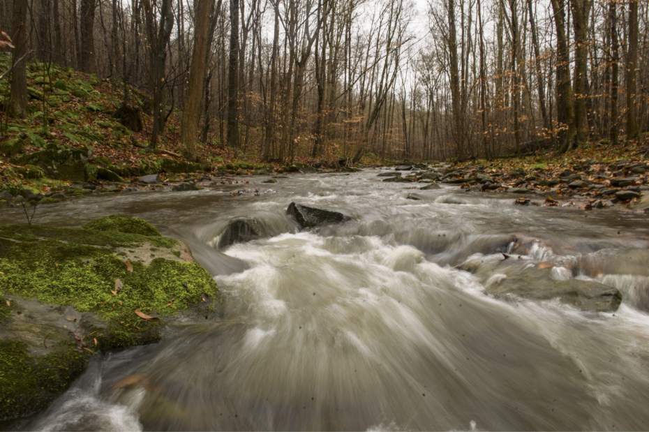 Slide 
													
													12