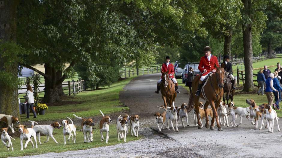 gtrOArollingrock18100316