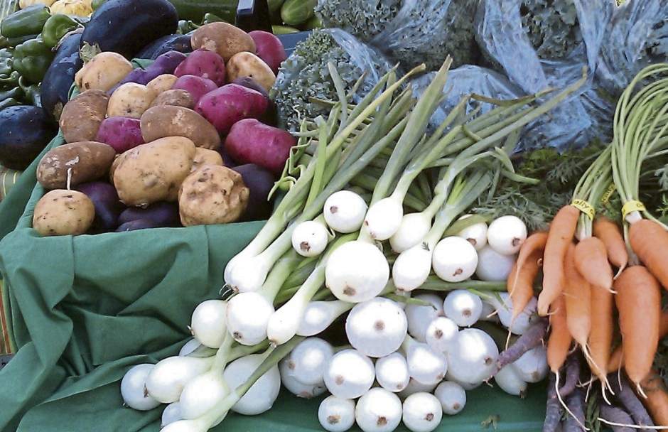 gtrOrganicLoans1040618