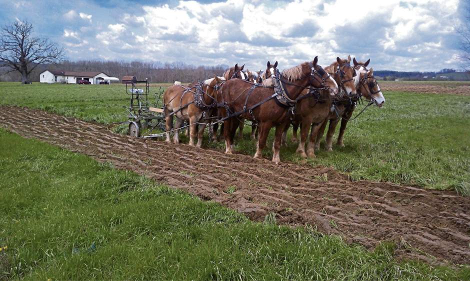 gtrOrganicLoans2040618