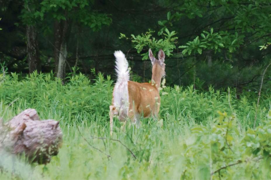 Slide 
													
													1