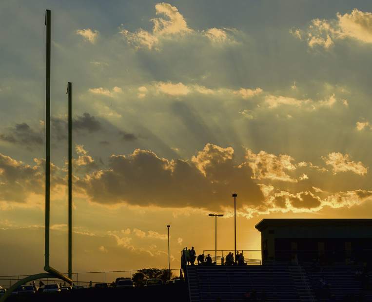 Slide 
													
													67