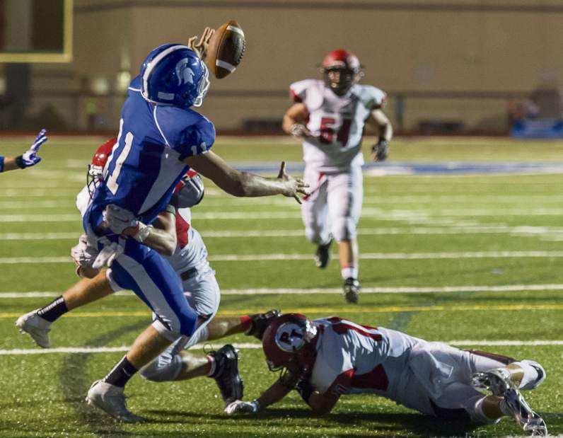 Slide 
													
													61