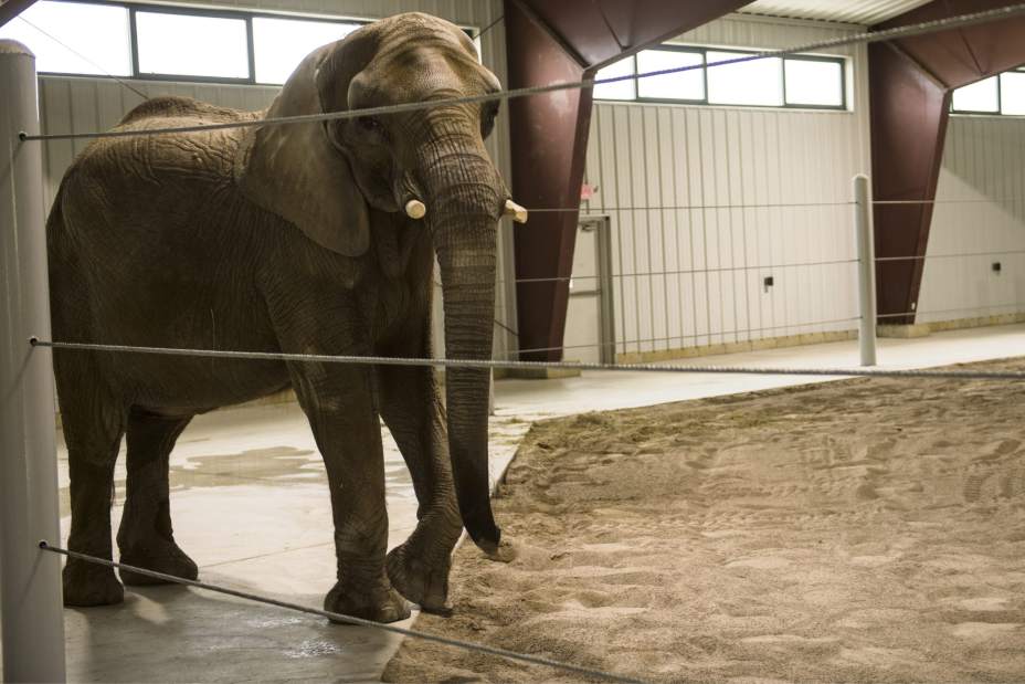 Slide 
													
													2