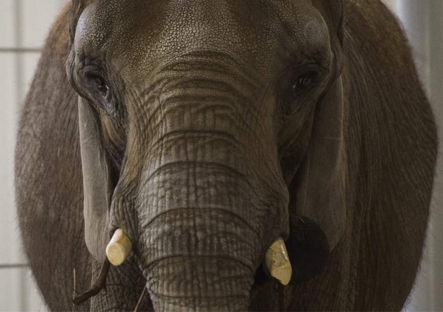 Slide 
													
													1