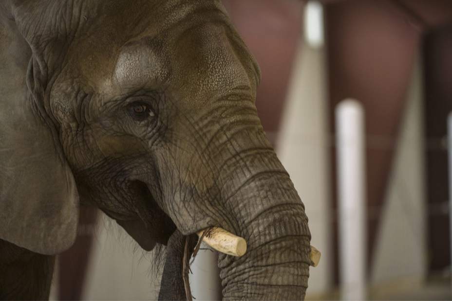 Slide 
													
													3